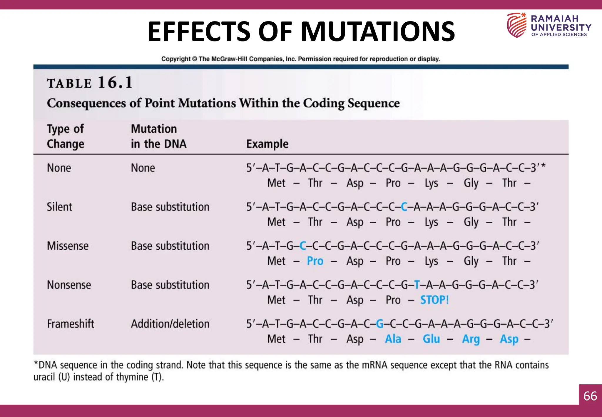 66
EFFECTS OF MUTATIONS
 