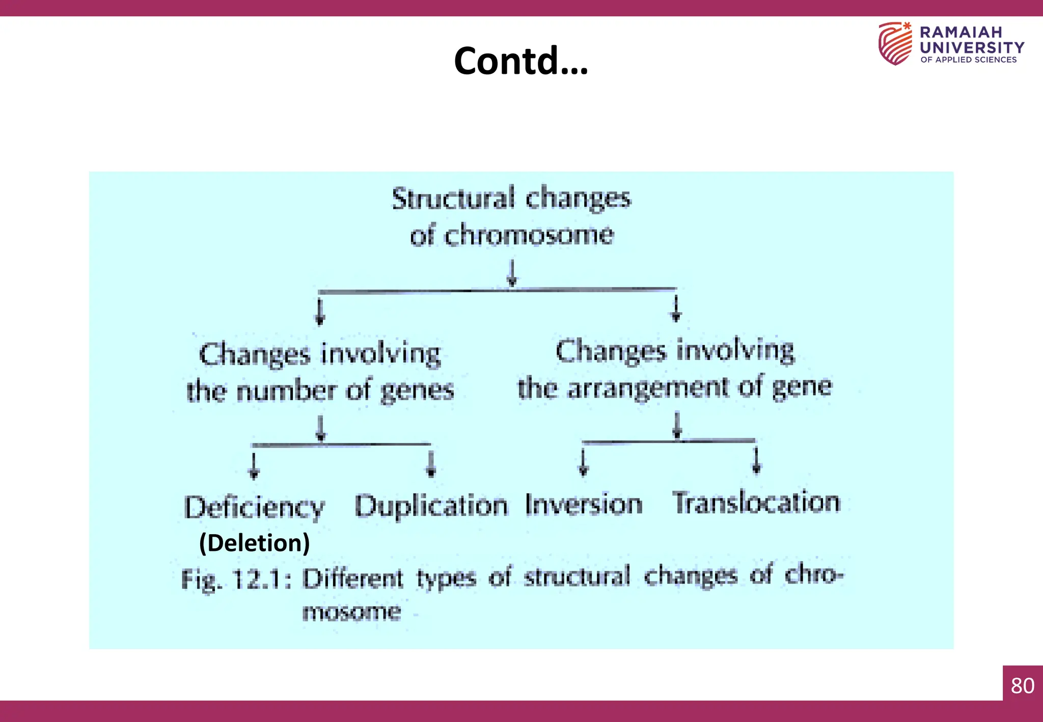 80
Contd…
(Deletion)
 