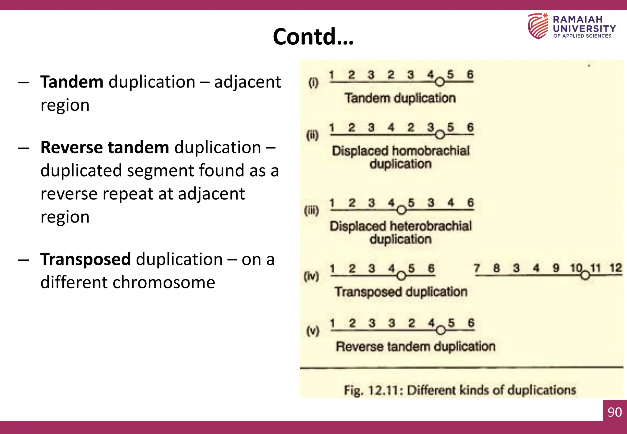 90
– Tandem duplication – adjacent
region
– Reverse tandem duplication –
duplicated segment found as a
reverse repeat at adjacent
region
– Transposed duplication – on a
different chromosome
Contd…
 