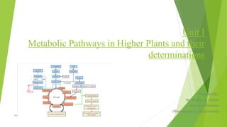 Unit I
Metabolic Pathways in Higher Plants and their
determinations
Prepared By:
Ms. Megha .S. Gajale
Assistant Professor
(Pharmacognosy Department)
Metabolic Pathways in Higher Plants and their Determinations 1
 