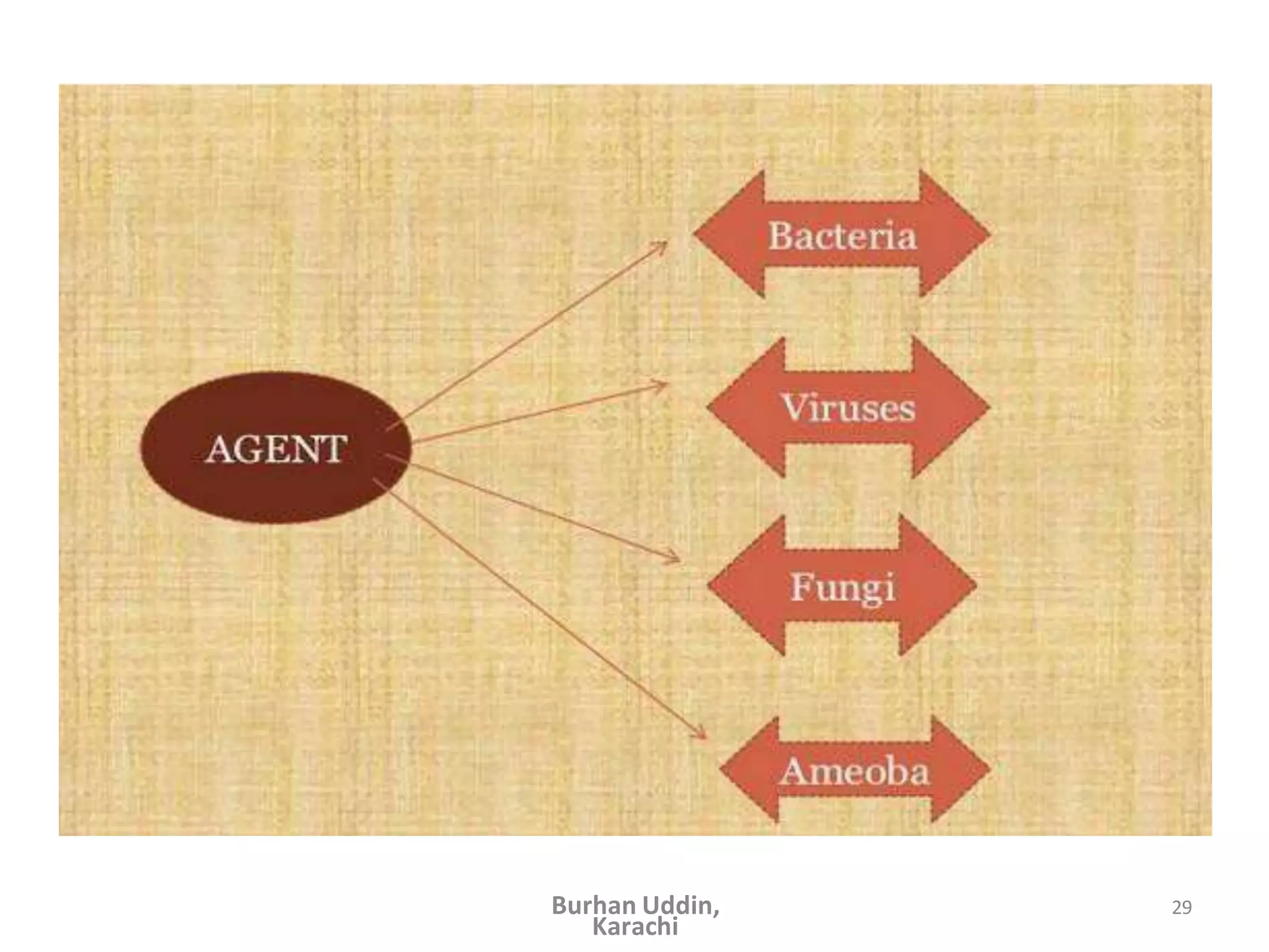 29
Burhan Uddin,
Karachi
 