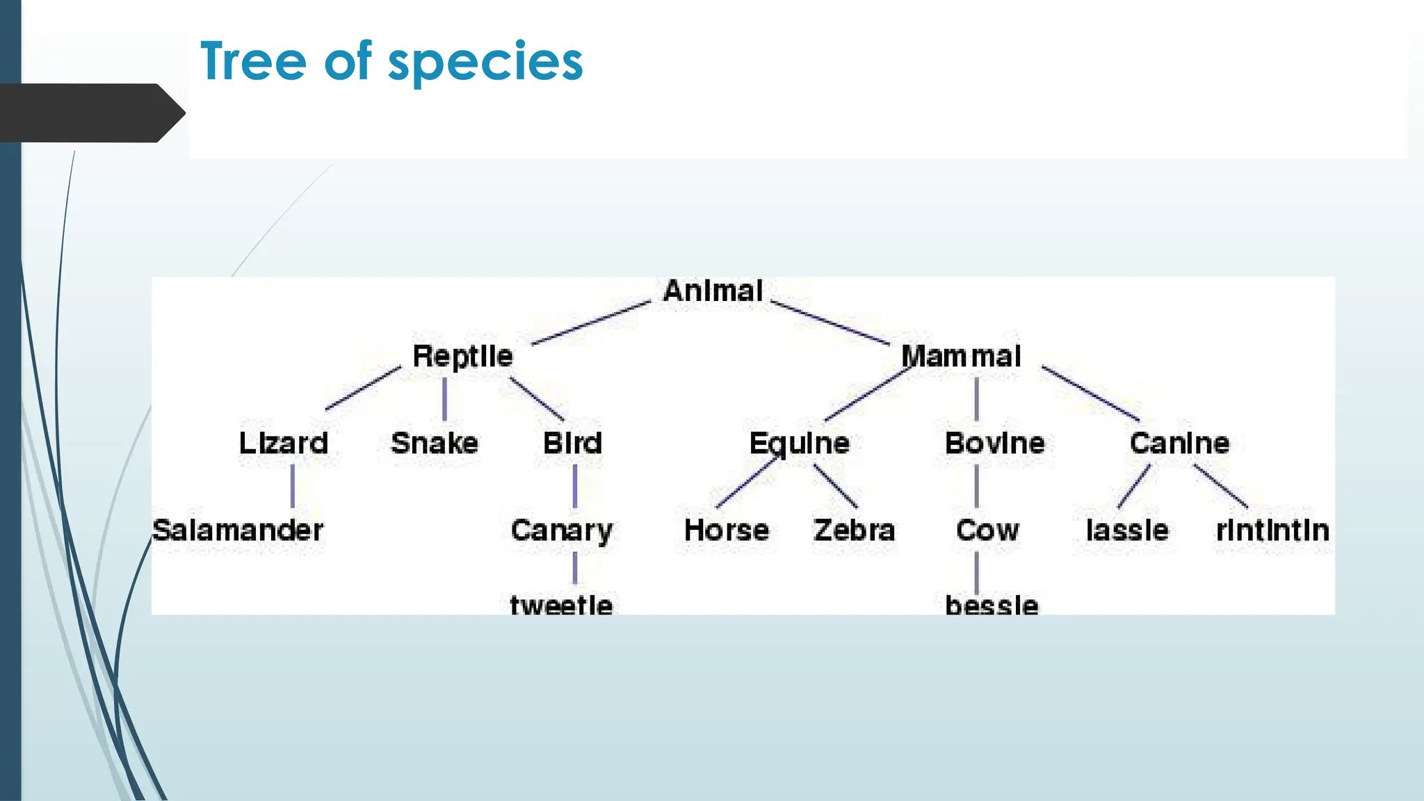 Tree of species
 