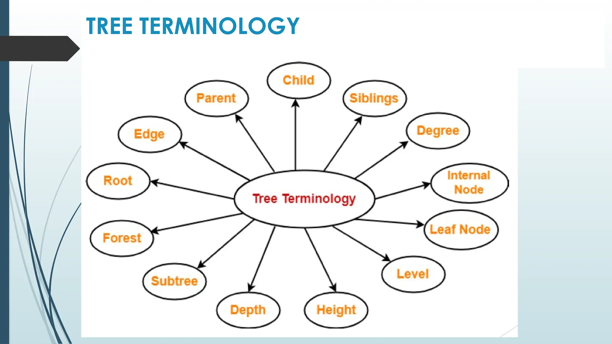 TREE TERMINOLOGY
 