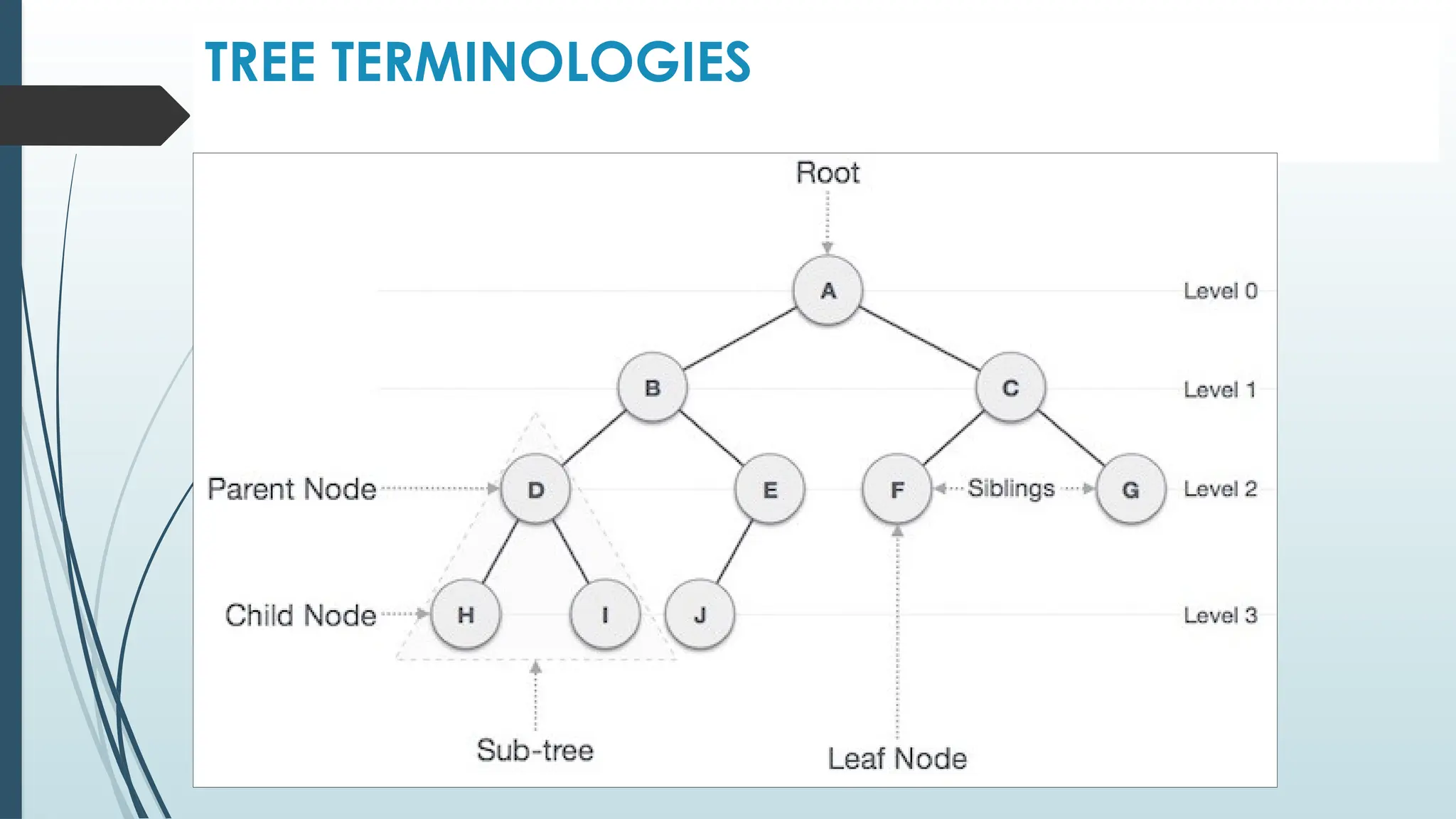 TREE TERMINOLOGIES
 