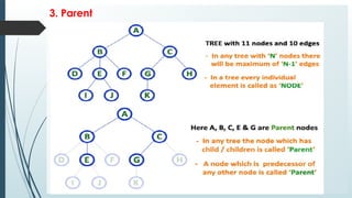 3. Parent
 