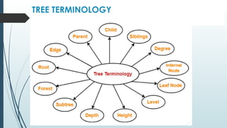 TREE TERMINOLOGY
 