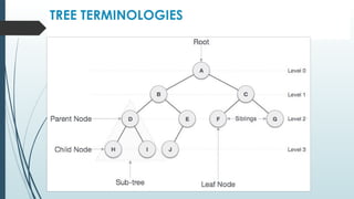 TREE TERMINOLOGIES
 