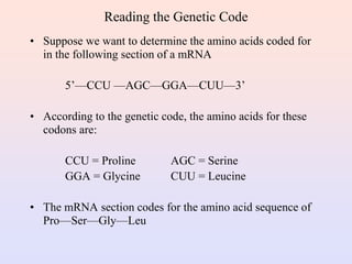 Unit III (Nucleic acid and genetic code).ppt