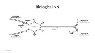 Biological NN
8/30/2020
 