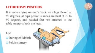 Unit I Introduction To Anatomical Terms And Organization Of The Human ...
