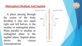 Unit I Introduction To Anatomical Terms And Organization Of The Human ...