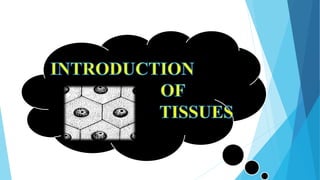 Unit I Introduction To Anatomical Terms And Organization Of The Human ...