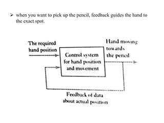  when you want to pick up the pencil, feedback guides the hand to
the exact spot.
 