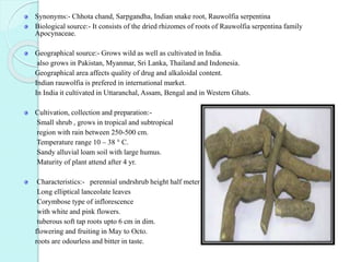 Synonyms:- Chhota chand, Sarpgandha, Indian snake root, Rauwolfia serpentina
Biological source:- It consists of the dried rhizomes of roots of Rauwolfia serpentina family
Apocynaceae.
Geographical source:- Grows wild as well as cultivated in India.
also grows in Pakistan, Myanmar, Sri Lanka, Thailand and Indonesia.
Geographical area affects quality of drug and alkaloidal content.
Indian rauwolfia is prefered in international market.
In India it cultivated in Uttaranchal, Assam, Bengal and in Western Ghats.
Cultivation, collection and preparation:-
Small shrub , grows in tropical and subtropical
region with rain between 250-500 cm.
Temperature range 10 – 38 ° C.
Sandy alluvial loam soil with large humus.
Maturity of plant attend after 4 yr.
Characteristics:- perennial undrshrub height half meter
Long elliptical lanceolate leaves
Corymbose type of inflorescence
with white and pink flowers.
tuberous soft tap roots upto 6 cm in dim.
flowering and fruiting in May to Octo.
roots are odourless and bitter in taste.
 