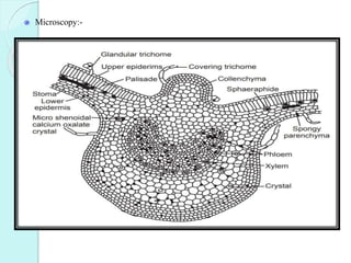 Microscopy:-
 