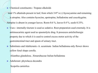 Chemical constituents:- Tropane alkaloids
total 1% alkaloids present in leaf, from which 3/4th is (-) hyoscyamine and remaining
is atropine. Also contains hyoscine, apotropine, belladonine and cuscohygrine.
Atropine is absent in younger leaves. Roots 0.6 %, leaves 0.4 %, seeds 0.33%.
Uses:- internally tincture is used as sedative. Root preparation used externaly. It is
antimuscarinic agent used as spasmolytic drug. It possesess anticholinergic
property due to which it is used to control excess motor activity of the
gastrointestinal tract and spasm of urinary tract.
Substitutes and Adulterants:-A. acuminata Indian belladonna only flower shows
yellow fenel shape corolla.
Alianthus glandulosa , Simarubaceae Italian belladonna
Adulterant: phytolacca decandra
Scopolia carniolica
 