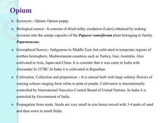 Opium
Synonym:- Opium, Opium poppy
Biological source:- It consists of dried milky exudation (Latex) obtained by making
incisions into the unripe capsules of the Papaver somniferum plant belonging to family
Papavaraceae.
Georaphical Source:- Indigenous to Middle East, but cultivated in temperate regions of
northen hemisphere, Mediterranean countries such as Turkey, Iran, Australia. Also
cultivated in Asia, Japan and China. It is consider that it was came in India with
Alexander In 327BC.In India it is cultivated in Rajasthan.
Cultivation, Collection and preparation :- It is annual herb with large solitary flowers of
varying colours ranging from white to pink or purple. Cultivation is internationally
controlled by International Narcotics Control Board of United Nations. In India it is
controled by Government of India.
Propagation from seeds. Seeds are very small in size hence mixed with 3-4 parts of sand
and then sown in small fields.
 