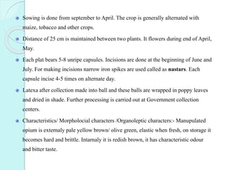 Sowing is done from september to April. The crop is generally alternated with
maize, tobacco and other crops.
Distance of 25 cm is maintained between two plants. It flowers during end of April,
May.
Each plat bears 5-8 unripe capsules. Incisions are done at the beginning of June and
July. For making incisions narrow iron spikes are used called as nastars. Each
capsule incise 4-5 times on alternate day.
Latexa after collection made into ball and these balls are wrapped in poppy leaves
and dried in shade. Further processing is carried out at Government collection
centers.
Characteristics/ Morpholocial characters /Organoleptic characters:- Manupulated
opium is externaly pale yellow brown/ olive green, elastic when fresh, on storage it
becomes hard and brittle. Intarnaly it is redish brown, it has characteristic odour
and bitter taste.
 