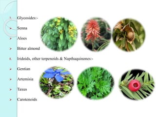 7. Glycosides:-
 Senna
 Aloes
 Bitter almond
8. Iridoids, other terpenoids & Napthaquinones:-
 Gentian
 Artemisia
 Taxus
 Carotenoids
 