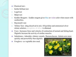 Chemical test:-
1. Keller Killiani test
2. Legal test
3. Baljet test
4. Keddes Reagent :- keddes reagent gives blue or violet color when reacts with
cardinolites.
5. Raymond’s test
6. Tollens Test:- drug dissolved in mix. Of pyridine and ammonical silver
nitrate solution precipitate of silver is obtained.
Uses:- Increases force and velocity of contraction of normal and failing heart.
Digitalis Increase the activity of cardiac muscles.
Substitutes:- Adonidin:-Adonis vernalis Ranunculaceae. Adonin acts more
quickly and powerfully than digitalis.
Foxglove:- as vegitable also used.
 