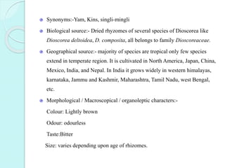 Synonyms:-Yam, Kins, singli-mingli
Biological source:- Dried rhyzomes of several species of Dioscorea like
Dioscorea deltoidea, D. composita, all belongs to family Dioscoreaceae.
Geographical source:- majority of species are tropical only few species
extend in temperate region. It is cultivated in North America, Japan, China,
Mexico, India, and Nepal. In India it grows widely in western himalayas,
karnataka, Jammu and Kashmir, Maharashtra, Tamil Nadu, west Bengal,
etc.
Morphological / Macroscopical / organoleptic characters:-
Colour: Lightly brown
Odour: odourless
Taste:Bitter
Size: varies depending upon age of rhizomes.
 