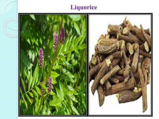 Liquorice
 