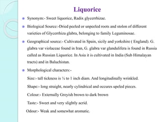 Liquorice
Synonym:- Sweet liquorice, Radix glycerrhizae.
Biological Source:-Dried peeled or unpeeled roots and stolon of different
varieties of Glycerrhiza glabra, belonging to family Leguminosae.
Geographical source:- Cultivated in Spain, sicily and yorkshire ( England). G.
glabra var violaceae found in Iran, G. glabra var glandulifera is found in Russia
called as Russian Liquorice. In Asia it is cultivated in India (Sub Himalayan
tracts) and in Baluchistan.
Morphological characters:-
Size:- tall tickness is ¼ to 1 inch diam. And longitudinally wrinkled.
Shape:- long straight, nearly cylindrical and occures upeled pieces.
Colour:- Externally Greyish brown to dark brown
Taste:- Sweet and very slightly acrid.
Odour:- Weak and somewhat aromatic.
 