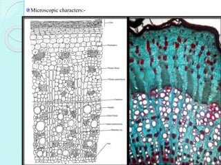Microscopic characters:-
 