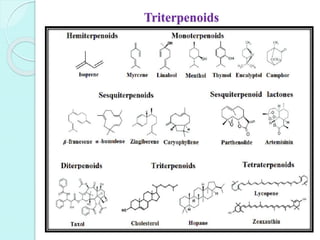 Triterpenoids
 