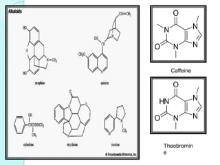 Caffeine
Theobromin
e
 