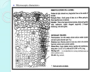 Microscopic characters:-
 