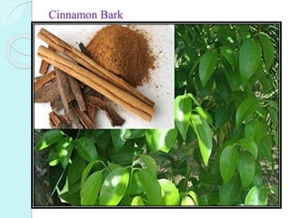 Cinnamon Bark
 