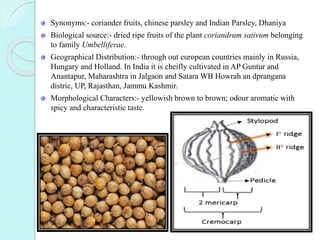 Synonyms:- coriander fruits, chinese parsley and Indian Parsley, Dhaniya
Biological source:- dried ripe fruits of the plant coriandrum sativum belonging
to family Umbelliferae.
Geographical Distribution:- through out european countries mainly in Russia,
Hungary and Holland. In India it is cheifly cultivated in AP Guntur and
Anantapur, Maharashtra in Jalgaon and Satara WB Howrah an dprangana
distric, UP, Rajasthan, Jammu Kashmir.
Morphological Characters:- yellowish brown to brown; odour aromatic with
spicy and characteristic taste.
 