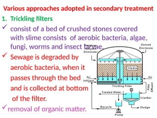 Various approaches adopted in secondary treatment
1. Trickling filters
 consist of a bed of crushed stones covered
with slime consists of aerobic bacteria, algae,
fungi, worms and insect larvae.
 Sewage is degraded by
aerobic bacteria, when it
passes through the bed
and is collected at bottom
of the filter.
removal of organic matter.
 