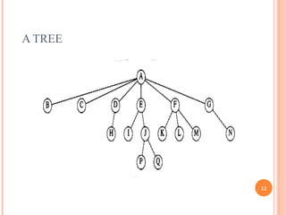 Sample Tree Structure UNIT II Tree Structure and it's examples | PPT