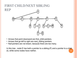 UNIT II Tree Structure and it's examples | PPT