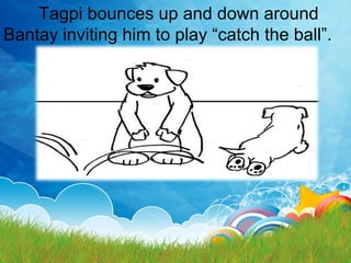 Tagpi bounces up and down around
Bantay inviting him to play “catch the ball”.
 