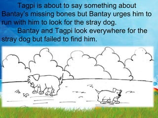 Tagpi is about to say something about
Bantay’s missing bones but Bantay urges him to
run with him to look for the stray dog.
Bantay and Tagpi look everywhere for the
stray dog but failed to find him.
 