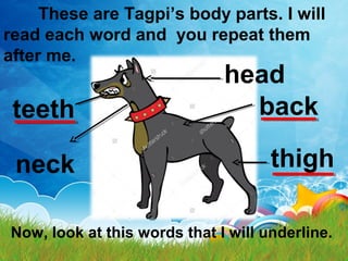 These are Tagpi’s body parts. I will
read each word and you repeat them
after me.
head
back
thighneck
teeth
Now, look at this words that I will underline.
 