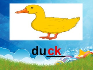 du___ck
 