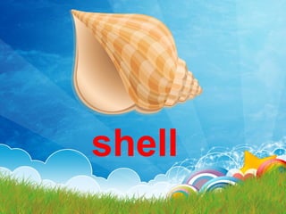 shell
 