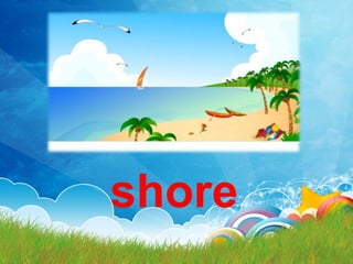shore
 