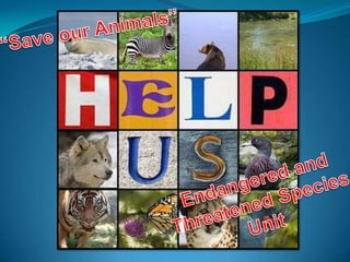 “Save our Animals” Endangered and Threatened Species Unit 