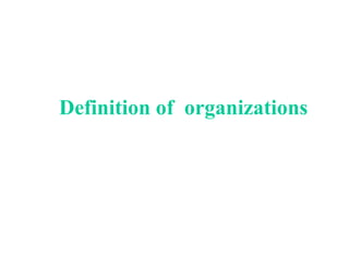 Definition of  organizations   