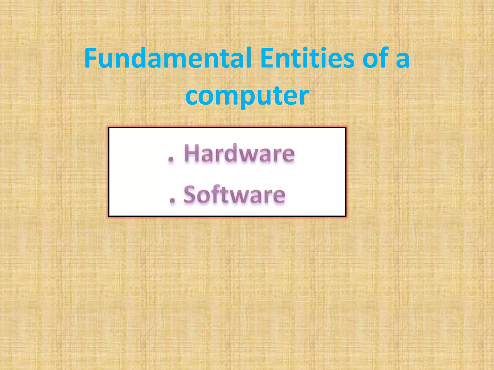 Fundamental Entities of a
computer
 