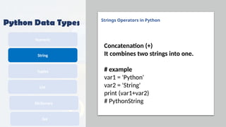 Comprehensive Introduction to Python Programming Language and Its ...