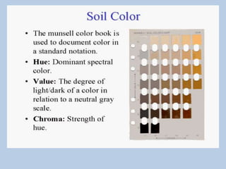 Subsoil Color Soil color and soil water | PPTX