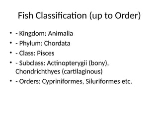 Taxonomy, Diversity and Biology of Fish. | PPTX