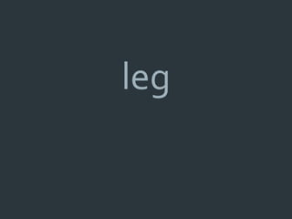 leg
 