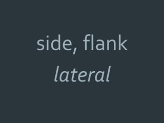 side, flank
  lateral
 